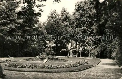 AK / Ansichtskarte Offenburg Park Offenburg