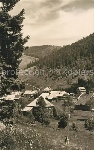 AK / Ansichtskarte Menzenschwand Teilansicht Schwarzwald Menzenschwand