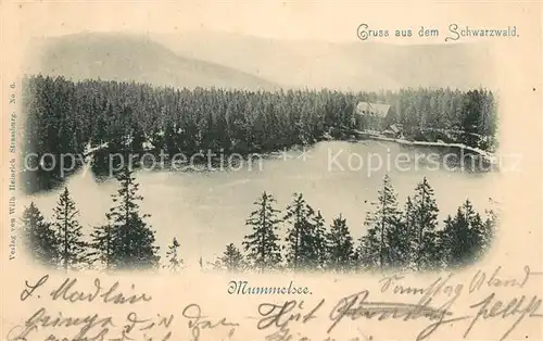 AK / Ansichtskarte Mummelsee Panorama mit Blick auf Hotel Schwarzwald Mummelsee