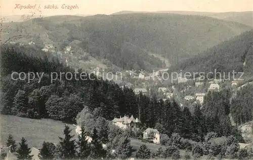 AK / Ansichtskarte Kipsdorf Panorama Kipsdorf