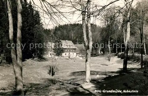 AK / Ansichtskarte Hohnstein_Saechsische_Schweiz HOG Grundmuehle Hohnstein_Saechsische