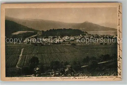 AK / Ansichtskarte Bad_Gleisweiler Panorama Sankt Anna Kapelle Bad_Gleisweiler