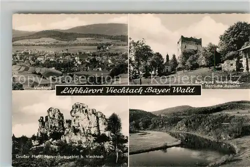 AK / Ansichtskarte Viechtach_Bayerischer_Wald Grosser Pfahl Burgruine Neunussberg Panorama Viechtach_Bayerischer