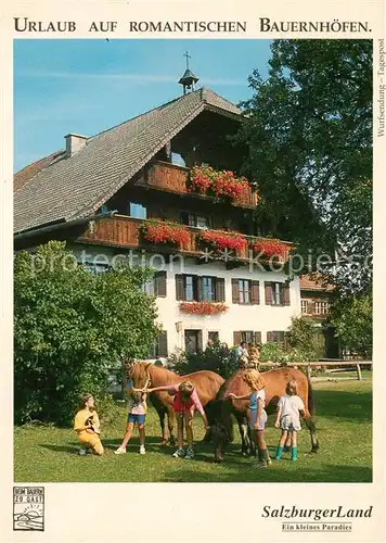 AK / Ansichtskarte Salzburger_Land Bauernhof Salzburger_Land