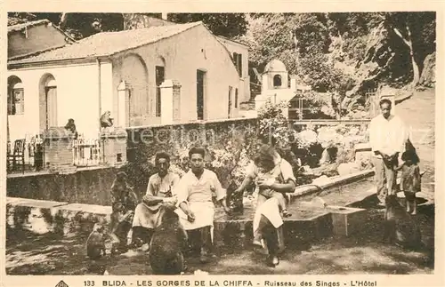 AK / Ansichtskarte Blida_Algerien Les Gorges de la Chiffa Ruisseau des Singes Hotel Blida Algerien