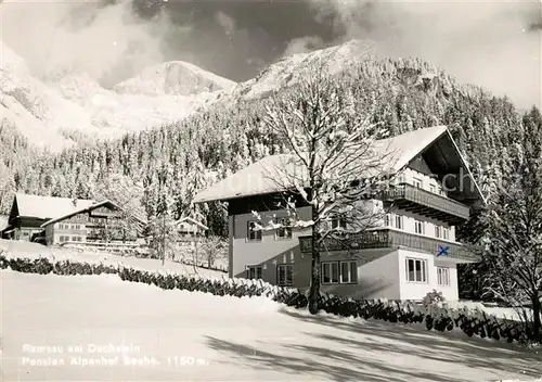 AK / Ansichtskarte Ramsau_Dachstein_Steiermark Pension Alpenhof Winter Ramsau_Dachstein