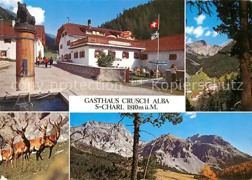 AK / Ansichtskarte Scuol_GR Gasthaus Crusch Alba Scuol_GR