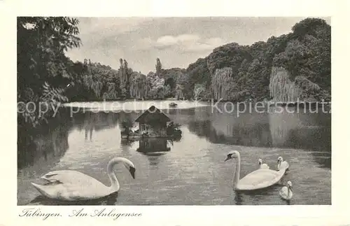 AK / Ansichtskarte Tuebingen_Neckar Am Anlagensee 