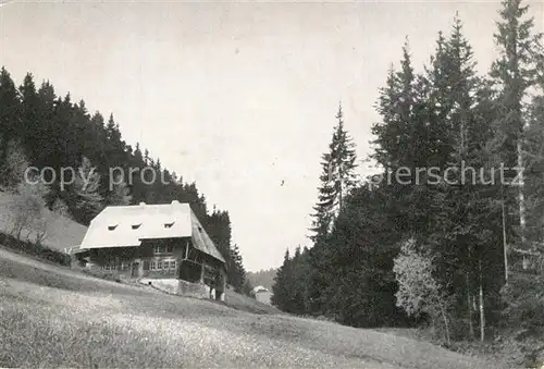 AK / Ansichtskarte Breitnau Hammerloch Breitnau