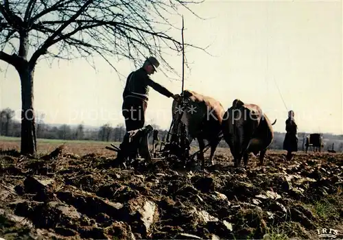 AK / Ansichtskarte Landwirtschaft Frankreich Ochsen Pfl?gen 