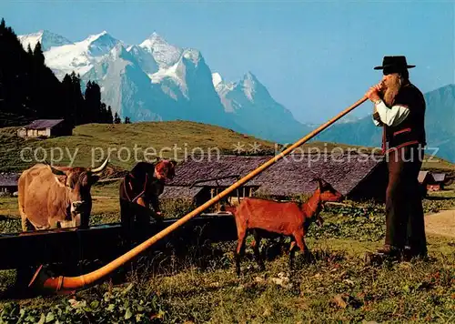 AK / Ansichtskarte Alphorn Alphornbl?ser Wetterh?rner Eiger Ziege Kuh 