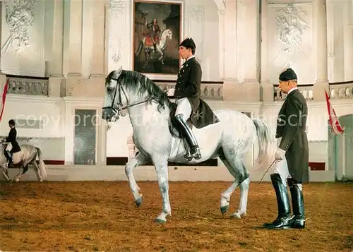 AK / Ansichtskarte Reitsport_Pferdesport_Pferderennen Wien Spanische Reitschule Morgenarbeit  