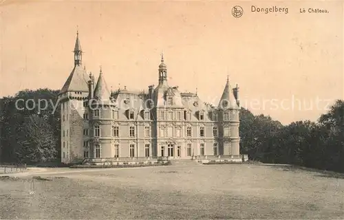 AK / Ansichtskarte Dongelberg Le Chateau Dongelberg