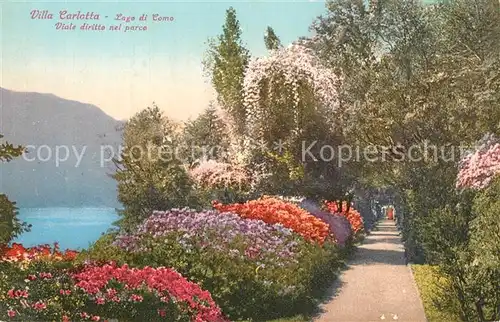 Tremezzo_Lago_di_Como Villa Carlotta Viale nel Parco Tremezzo_Lago_di_Como