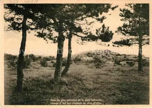 Coq sur Mer Sous les pins solitairesde la dune infeconde Coq sur Mer