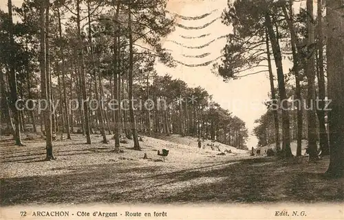 Arcachon_Gironde Cote dArgent Route en foret Arcachon Gironde