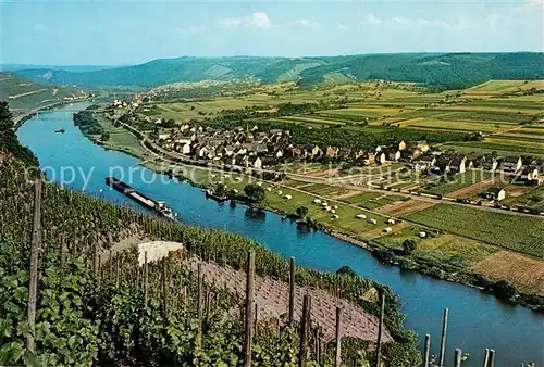 Erden Landschaftspanorama Blick ueber die Mosel Weinberge Hotel Zum Moseltal Erden