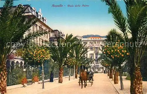 Rapallo Viale delle Palme  Rapallo