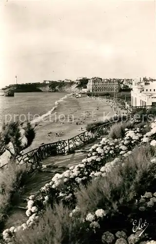 Biarritz_Pyrenees_Atlantiques La grande plage avec les Hortensias Biarritz_Pyrenees