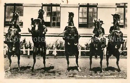 Saumur Ecole de Cavalerie Courbettes Saumur