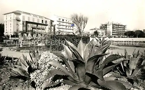 Antibes_Alpes_Maritimes Bord de mer et sa vegetation exotique Antibes_Alpes_Maritimes