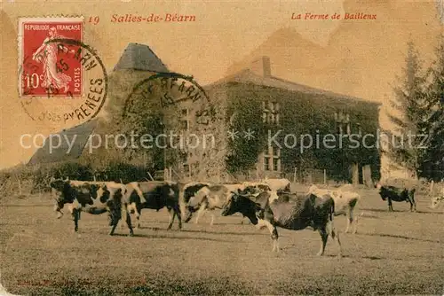 Salies de Bearn La Ferme de Baillenx Salies de Bearn