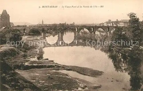 Montauban_Tarn et Garonne Vieux Pont Pointe de l Ile 