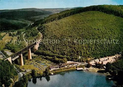 AK / Ansichtskarte Eiswoog Fliegeraufnahme mit Viadukt Bahnhaltestelle und Gasthof Forelle Eiswoog