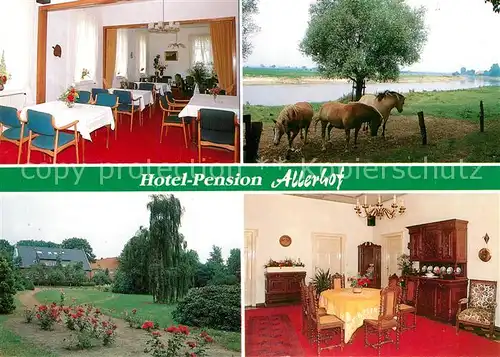 AK / Ansichtskarte Bosse_Rethem Hotel Pension Allerhof Pferde Bosse Rethem