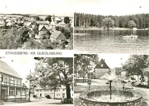 AK / Ansichtskarte Strassberg_Harzgerode Teilansicht Treuer Nachbarteich Konsum Gaststaette Lindenhof Springbrunnen Strassberg Harzgerode