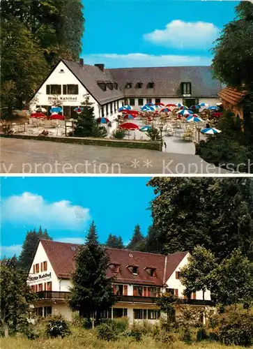 AK / Ansichtskarte Kohlhof_Heidelberg Cafe Restaurant Pension Alter Kohlhof Kohlhof Heidelberg