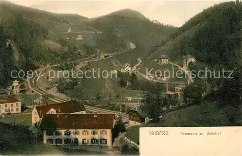 AK / Ansichtskarte Triberg_Schwarzwald Panorama Bahnhof Triberg Schwarzwald