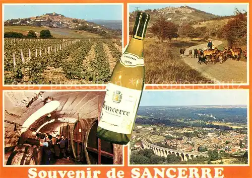 AK / Ansichtskarte Sancerre Vue generale une cave paysage dautomne a Sancerre le viaduc de Saint Satur Sancerre