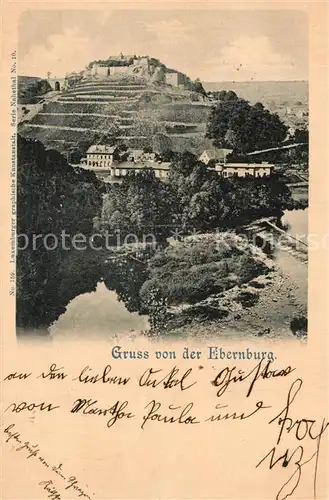 AK / Ansichtskarte Bad_Muenster_Stein_Ebernburg Burg Panorama Bad_Muenster