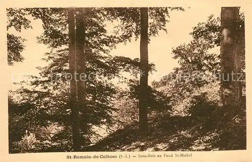 AK / Ansichtskarte Saint Romain de Colbosc Sous Bois au Fond Saint Michel Saint Romain de Colbosc