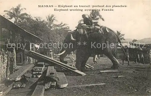 AK / Ansichtskarte Madras_Tamil_Nadu Elefant beim Arbeiten Madras_Tamil_Nadu