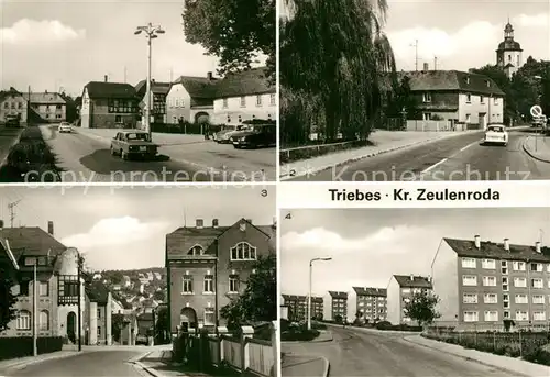 AK / Ansichtskarte Triebes Ernst Th?lmann Strasse Zeulenroda Strasse Neubaugebiet Triebes