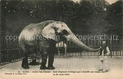 AK / Ansichtskarte Elefant Paris Jardin des Plantes Cornac Neff  