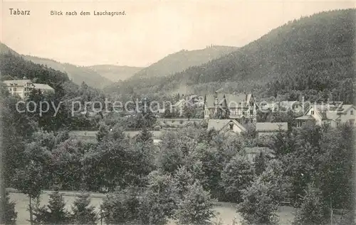 AK / Ansichtskarte Tabarz Blick zum Lauchagrund Tabarz