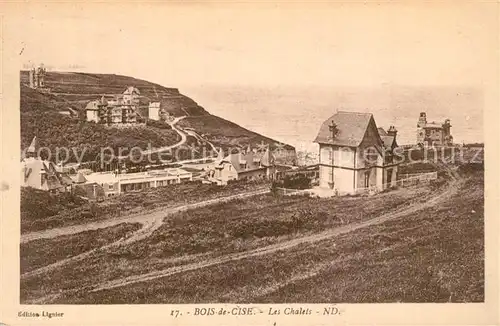 AK / Ansichtskarte Bois_de_Cise Les Chalets Bois_de_Cise