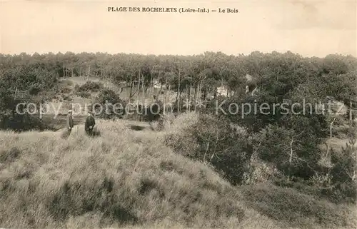 AK / Ansichtskarte Plage des Rochelets Le Bois 