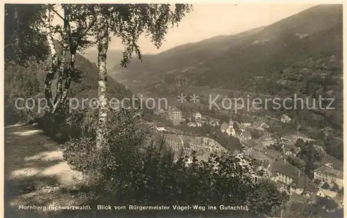 AK / Ansichtskarte Hornberg_Schwarzwald Gutachtal Hornberg Schwarzwald