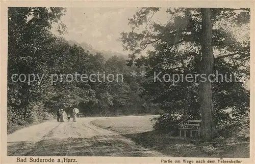 AK / Ansichtskarte Bad_Suderode Partie am Wege nach dem Felsenkeller Bad_Suderode