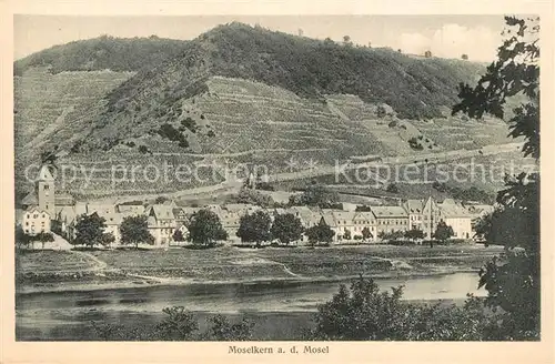 AK / Ansichtskarte Moselkern Blick ueber die Mosel zum Ort Moselkern