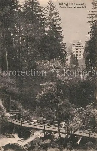 AK / Ansichtskarte Triberg_Schwarzwald Partie beim Wasserfall Triberg Schwarzwald