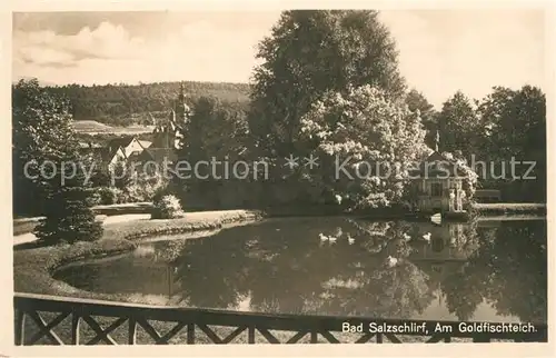 AK / Ansichtskarte Bad_Salzschlirf Goldfischteich Bad_Salzschlirf