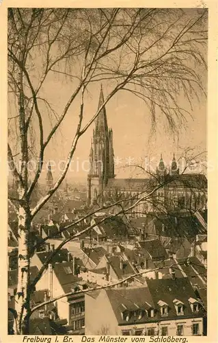 AK / Ansichtskarte Freiburg_Breisgau Muenster vom Schlossberg gesehen Freiburg Breisgau