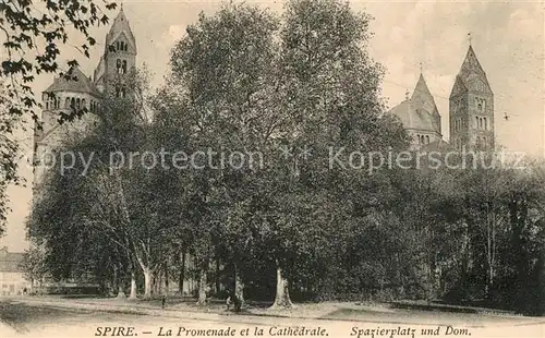 AK / Ansichtskarte Spire_Speyer Promenade et Cathedrale Dom 