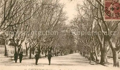 AK / Ansichtskarte Carpentras Avenue des Platanes Carpentras