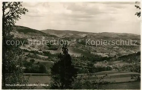 AK / Ansichtskarte Lindenfels_Odenwald Panorama Lindenfels Odenwald